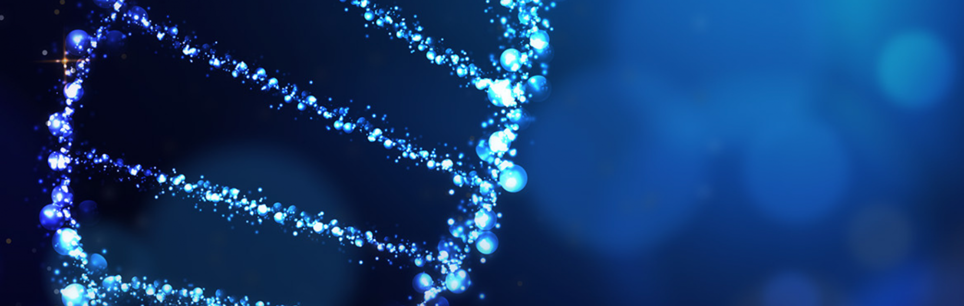 צעדים ראשונים במדע | 02.12.25 | מפגש חשיפה מקוון!